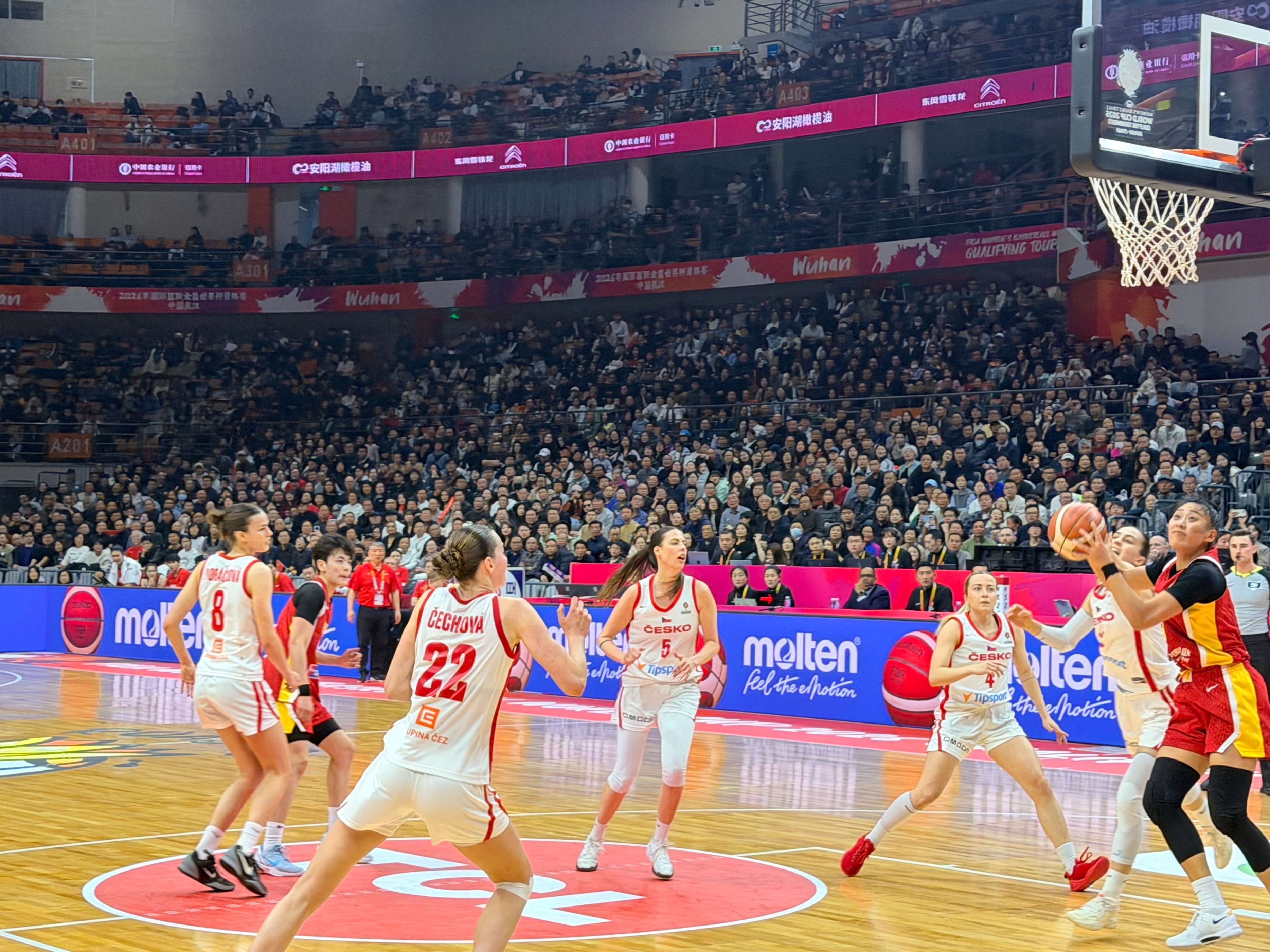 提前锁定世界杯席位！王思雨贡献14分引领全队得分 世预赛中国女篮击败捷克