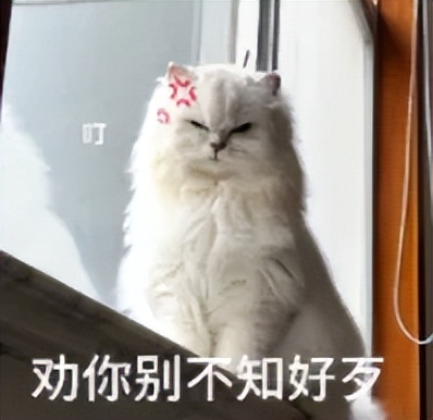 厉害!水货中锋拒绝1.8亿!活塞加快交易步伐