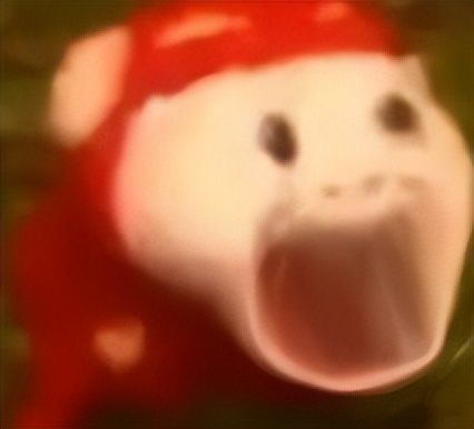 超越湖人！稳居西部前两名！NBA最大惊喜球队