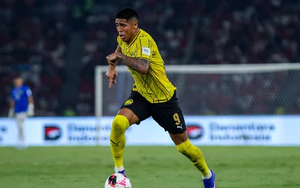 马来西亚国家队归化前锋在FIFA东盟杯对阵越南队的季军赛前被取消停赛处罚