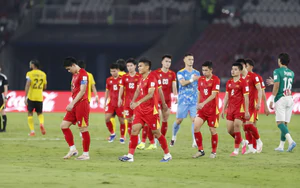 越南队因在2026年FIFA东盟杯中不敌马来西亚队,世界排名积分被扣除。