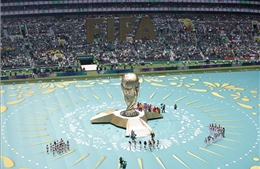 2026年世界杯：厄瓜多尔黑马蓄势待发，准备制造轰动