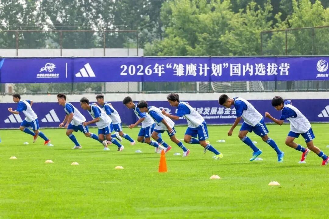 由“安排出国”转变为“鼓励出国”:系统性的重大改革,利用政策驱动市场发展