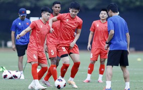 今日越南足球热点(9月29日):越南国家队敲定对阵泰国方案;越南U23参加嘉莱国际赛事