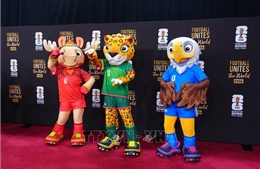 2026世界杯:福克斯体育视角下的十大顶尖球队
