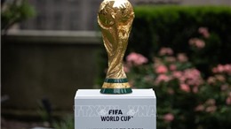 2026年世界杯：德国足球加速进军美国市场