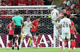 2026年世界杯:裁判争议风险预警