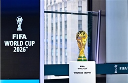 2026年世界杯：希望之门