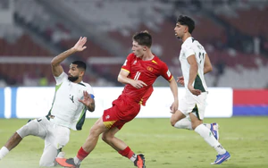 越南队在战胜巴基斯坦队后被FIFA加分，但世界排名未提升