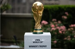 2026年世界杯:“大象”的回归