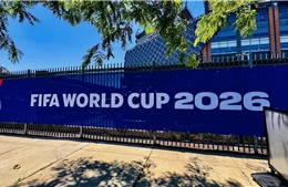 2026世界杯:美国队在开赛前的秘密“绿洲”