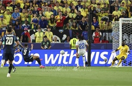 2026世界杯：黄绿战车启动