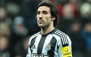 英超联赛3月22日19:00纽卡斯尔对阵桑德兰赛前分析