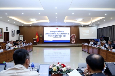 越南足球联合会为多支国家队制定了重要计划