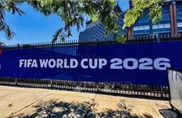 2026年世界杯:足坛超级巨星们的生死较量