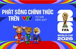 VTV 将直播 2026 年世界杯小组赛赛程