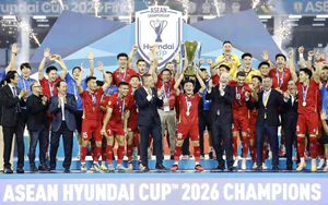越南足协第九届任期(2022—2026年):在成功背后