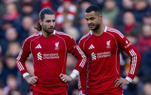 利物浦在最后一分钟痛失胜利，错失了逼近前四的机会。