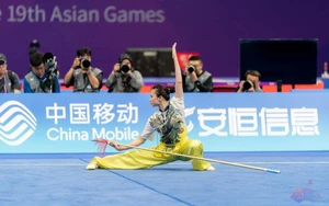 杜氏翠薇夺得2026年世界套路杯金牌