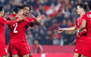 越南队对阵马来西亚队的门票最高价格为40万越南盾